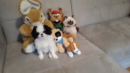 kesän 2019 tyttöpentu leluineen